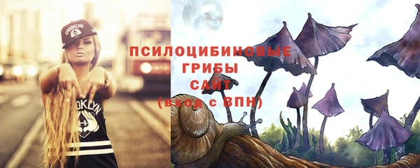 скорость Алзамай