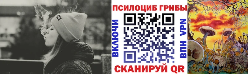 Псилоцибиновые грибы GOLDEN TEACHER  Камень-на-Оби 