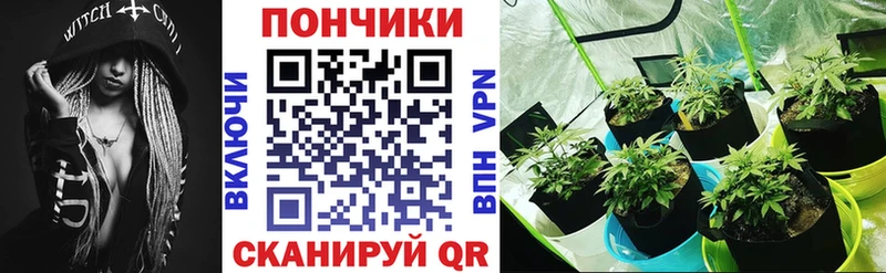 Бошки Шишки индика  где купить наркотик  Камень-на-Оби 